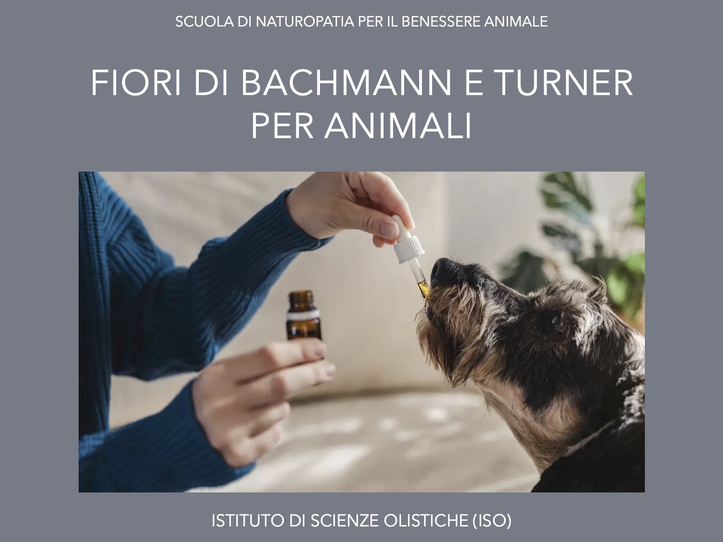 Fiori di Bachman e Turner per gli animali