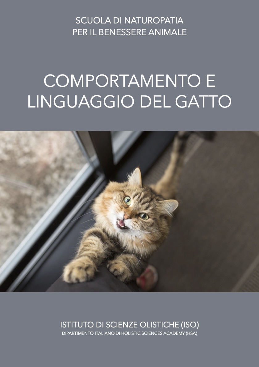 Comportamento e linguaggio del gatto