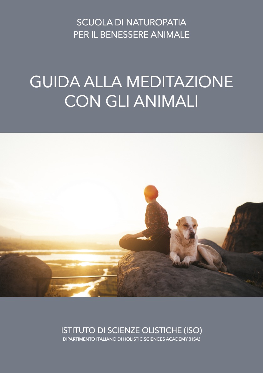 Guida alla meditazione con gli animali