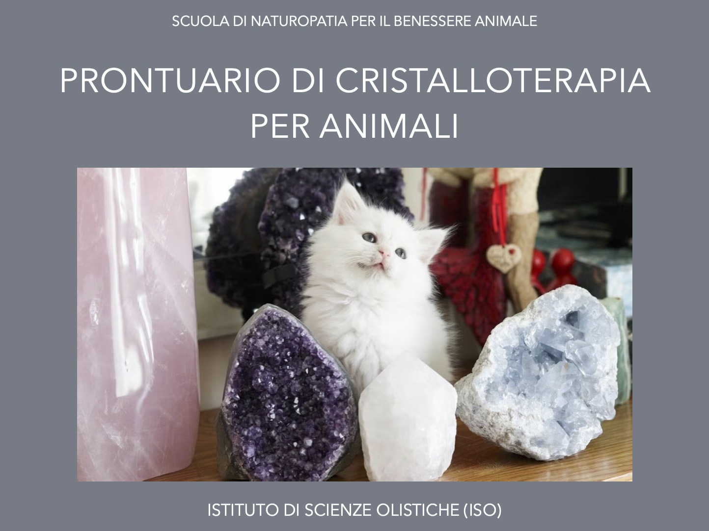 Prontuario di cristallo terapia per animali