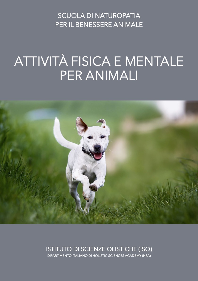 Attività fisica e mentale per animali