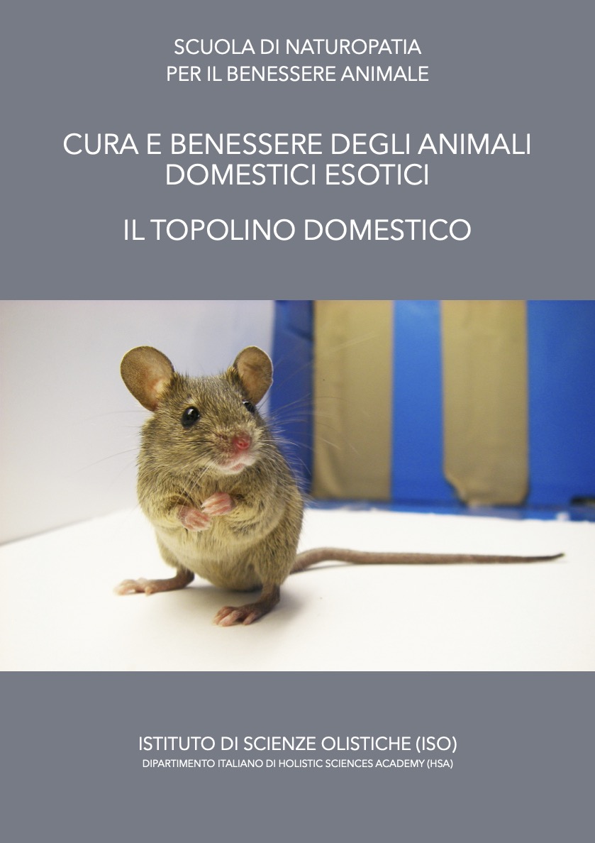 il topo