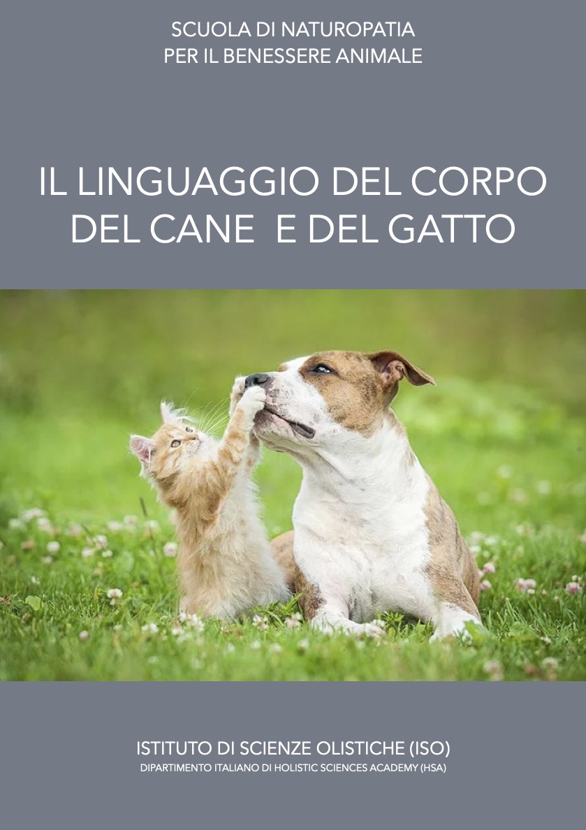 Il linguaggio del corpo del cane e del gatto