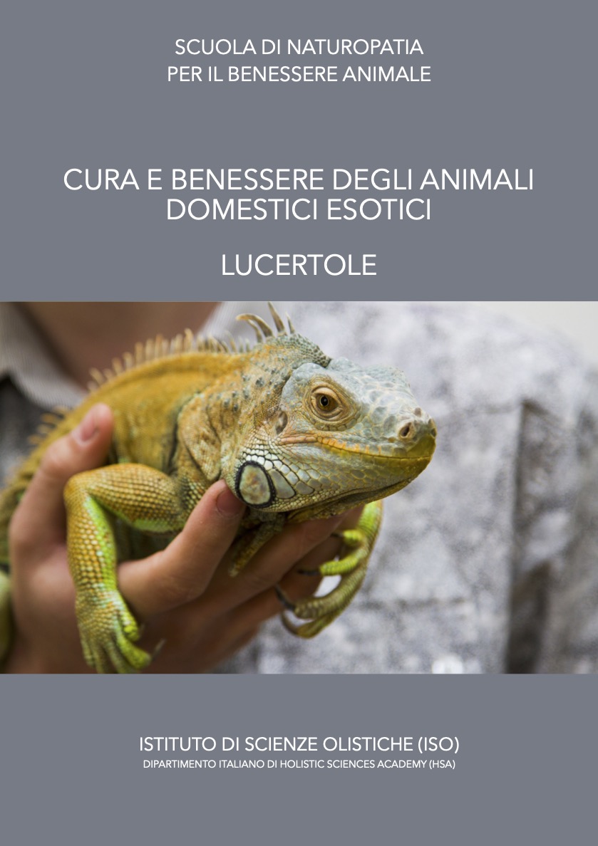 lucertole