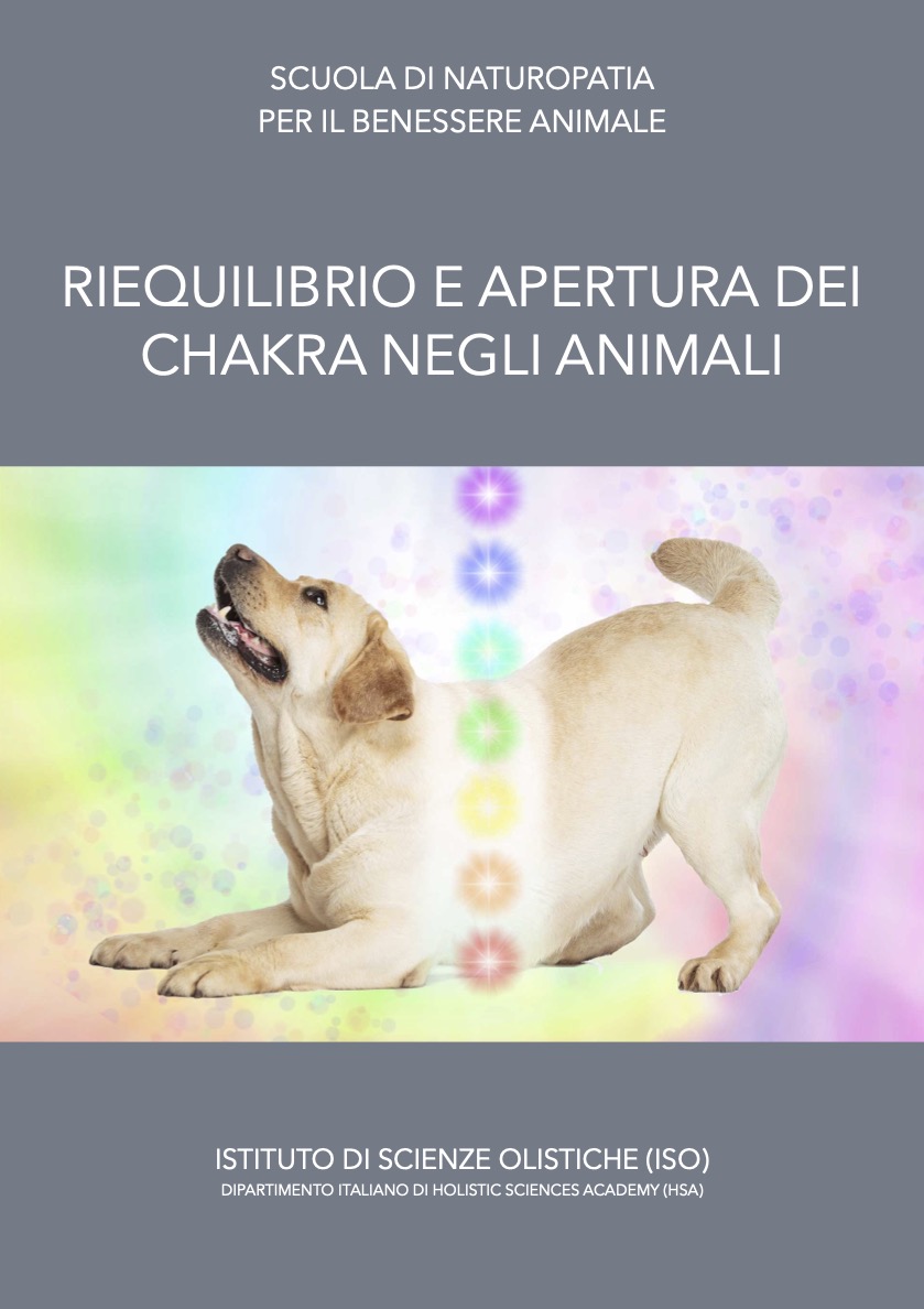 Riequilibrio e apertura dei chakra animali