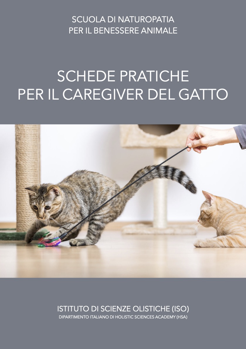 Schede pratiche per il caregiver del gatto