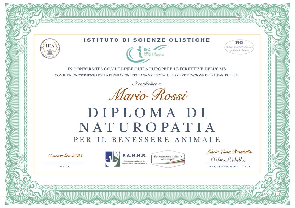 Diploma certificato ISO
