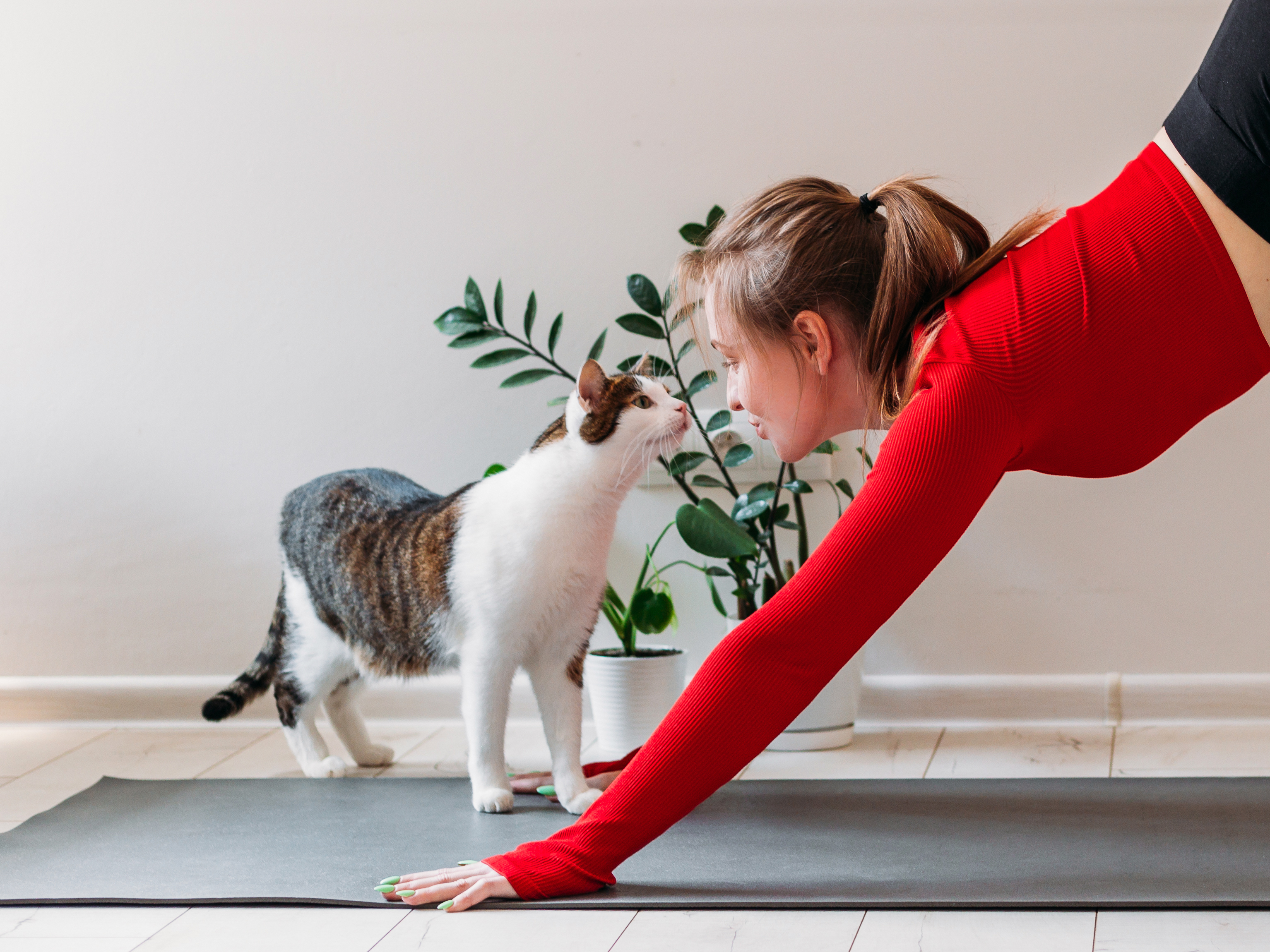 Scuola di naturopatia per animali