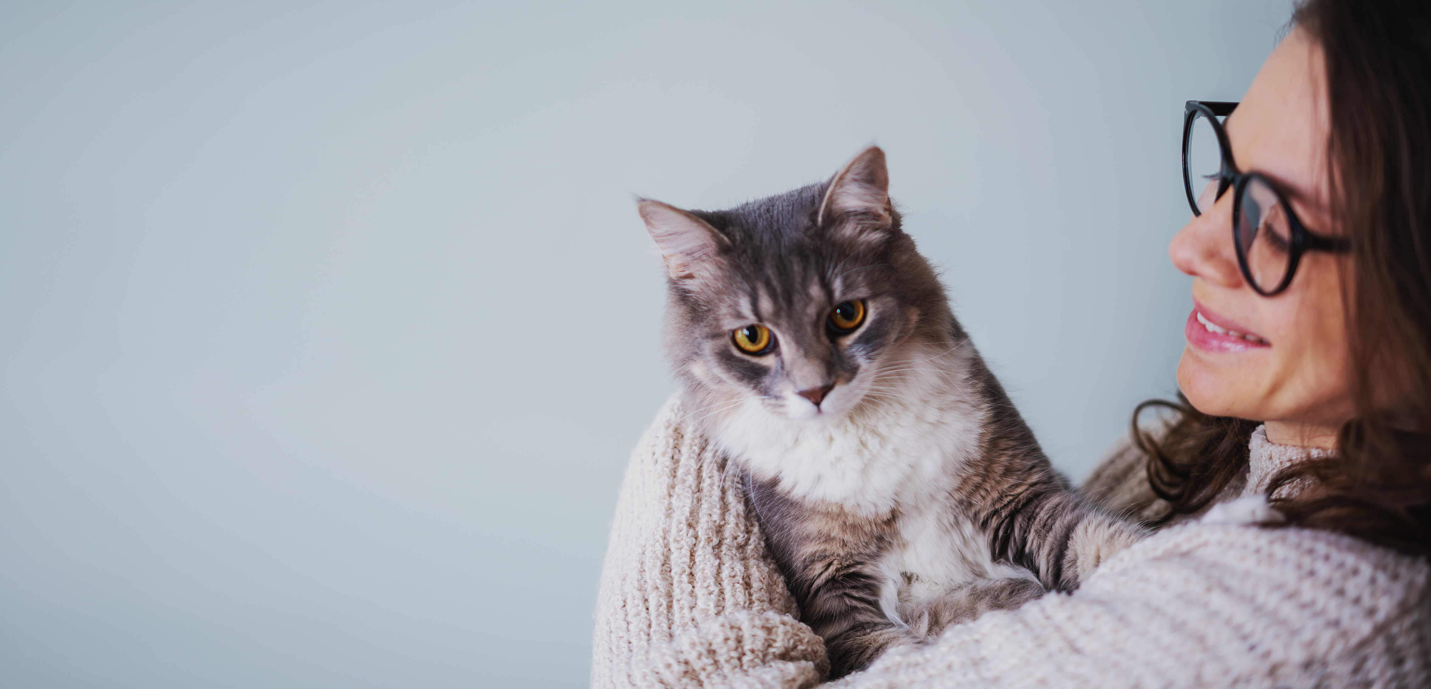 Naturopatia per gatti